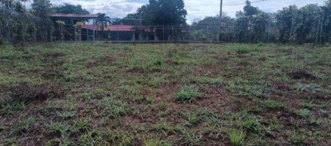 SE VENDE BELLÍSIMA PROPIEDAD EN DANIEL FLORES, PÉREZ ZELEDÓN.  in Daniel Flores, Pérez Zeledón, San José — ₡ 85 000 000