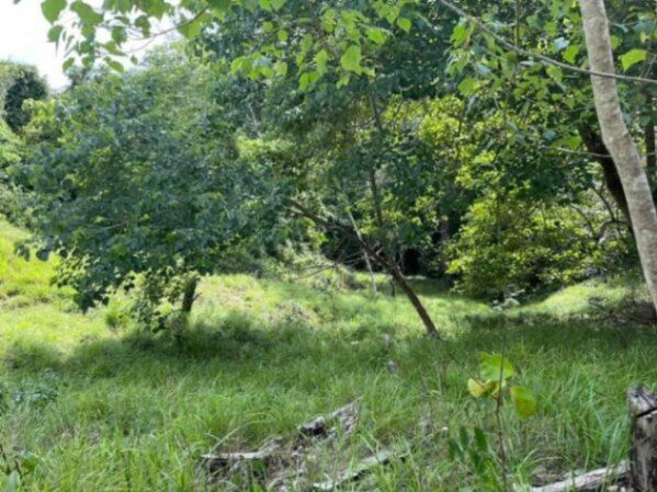 SE VENDE ESPECTACULAR FINCA EN MONTEZUMA, COBANO, PUNTARENAS.  en Cóbano, Puntarenas — $2,000,000