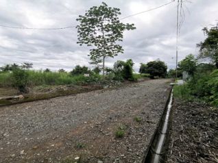 Venta de Lote en Macacona de Esparza Hacienda los higuerones en Macacona, Esparza, Puntarenas — $46,000 - Foto 2 de 6