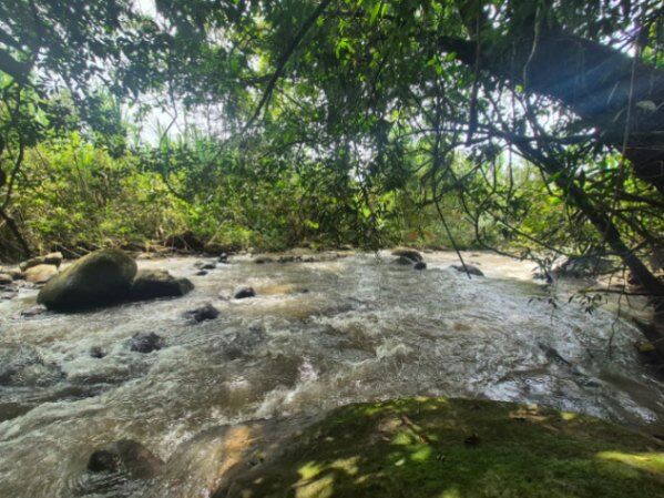 HERMOSA FINCA DE 16 ACRES CON QUEBRADAS Y ACCESO A RÍO EN SAN PEDRO in San Pedro, Pérez Zeledón, San José — $159,999