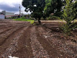 Venta Lote en Palmares cerca del Centro en Esquipulas, Palmares, Alajuela — 17 400 000 ₡ - Foto 4 de 9