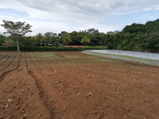 Venta de Finca en San Rafael de Alajuela. RAH 26-967  in San Rafael, Alajuela — $1,600,000