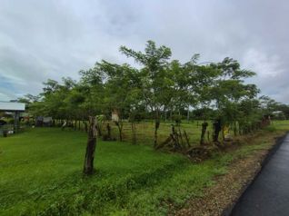 🌿 LOTE DE 2.209 m² EN VENTA | MUELLE DE LA PALMERA, SAN CARLOS en La Palmera, San Carlos, Alajuela — 40 000 000 ₡ - Foto 4 de 13