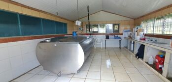 FINCA LECHERA A PUERTA CERRADA in Santa Teresita, Turrialba, Cartago — $1,500,000 - Photo 4 of 11