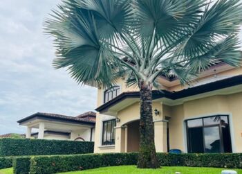Venta de Casa Amoblada en Parrita, Puntarenas. RAH 25-447 in Parrita, Puntarenas — $549,000 - Photo 5 of 10