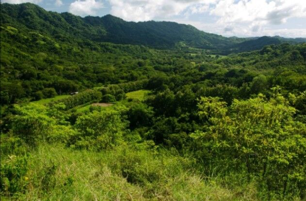 ¡Oportunidad Única de Inversión en Puntarenas, Costa Rica! Finca impresionante con vistas al mar en Paquera, Puntarenas — $8,800,000