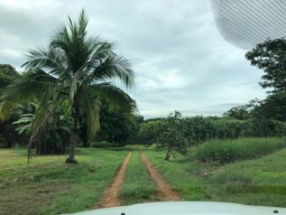 Terreno frente a la Ruta 27 Coyolar Orotina en Coyolar, Orotina, Alajuela — $2,400,000 - Foto 4 de 8