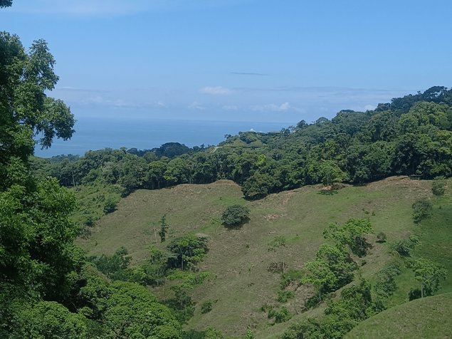 Finca en Lagunas de Barú Pérez Zeledón (Vista al Mar) en Barú, Pérez Zeledón, San José — $2,000,000