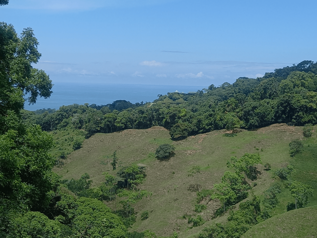 Finca en Lagunas de Barú Pérez Zeledón (Vista al Mar) en Barú, Pérez Zeledón, San José — $2,000,000