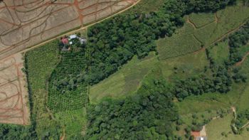 SE VENDE FINCA CON TOPOGRAFIA PLANA Y POTENCIAL AGRICOLA EN PEREZ ZELEDON en San Pedro, Pérez Zeledón, San José — ₡ 28 000 000 - Foto 2 de 12