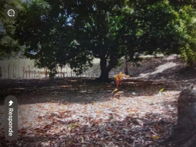 SE VENDE BELLA PROPIEDAD EN LAGUNILLAS DE GARABITO, PUNTARENAS.  in Tárcoles, Garabito, Puntarenas — ₡ 20 000 000