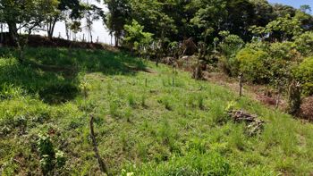 SE VENDE TERRENO LISTO PARA CONSTRUIR CON VISTAS INCREIBLES EN PEREZ ZELEDON en Volcán, Buenos Aires, Puntarenas — $10,000 - Foto 4 de 7