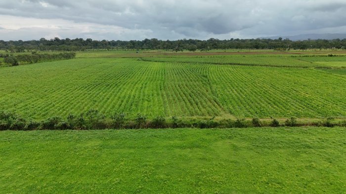 Quintas de 5,000m2 Financiadas directamente a solo 18min de Fortuna en La Fortuna, San Carlos, Alajuela — ₡ 33 000 000