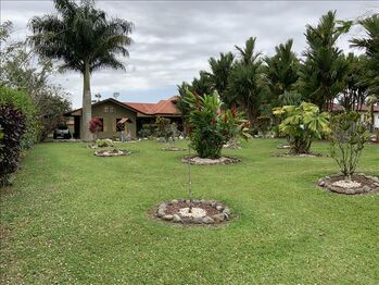 Finca en Venta Río Cuarto, Río Cuarto, Alajuela