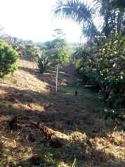 Se Vende Lote - La Colina de Quepos (3900m2) en Quepos, Puntarenas — $351,000 - Foto 5 de 5