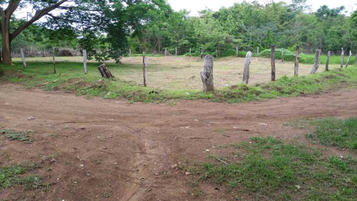 OPORTUNIDAD DE INVERSION, TERRENO EN HUACAS, GUANACASTE. en Huacas, Hojancha, Guanacaste — ₡ 50 000 000 - Foto 3 de 17