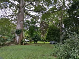 Se Vende Lote en San Pedro de Turrubares, San José in San Pedro, Turrubares, San José — 32 000 000 ₡ - Photo 3 of 9