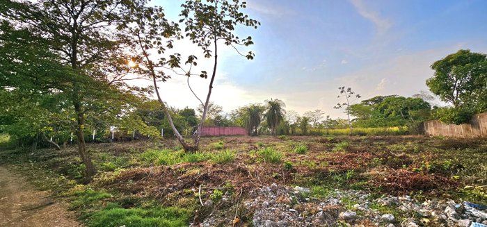 VENTA DE LOTE EN OROTINA, ALAJUELA en Orotina, Alajuela — ₡ 55 000 000