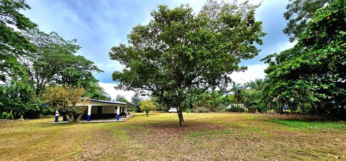 Se Vende Finca en Guácimo de Limón in Guácimo, Limón — ₡ 45 000 000 - Photo 2 of 19