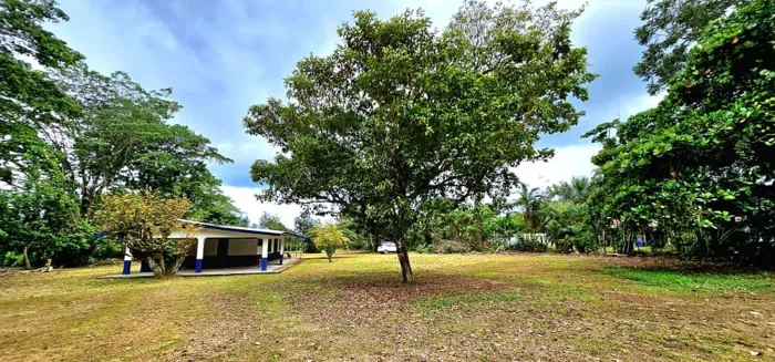 Se Vende Finca en Guácimo de Limón en Guácimo, Limón — ₡ 45 000 000 - Foto 2 de 19