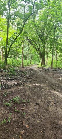 VENTA DE LOTE DE PLAYA, GUANACASTE, SANTA CRUZ in Santa Cruz, Guanacaste — ₡ 175 000 000