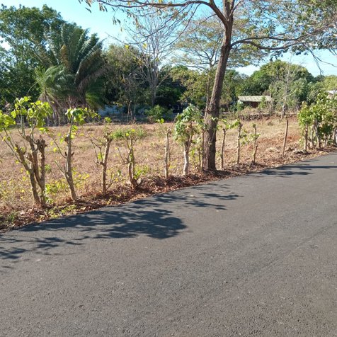 Investment Opportunity in Labrador de San Mateo in San Mateo, Alajuela — $450,000 - Photo 3 of 3