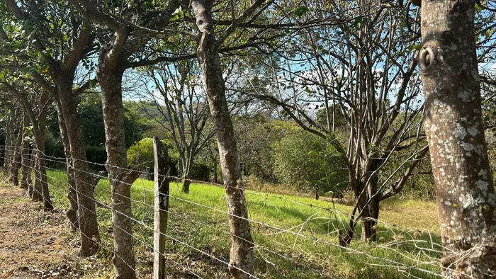 LAND FOR SALE, RESIDENTIAL DEVELOPMENT, SAN JOSE, SANTA ANA in Brasil, Santa Ana, San José — $5,050,800
