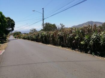 3 Ha PARA DESARROLLAR 57 LOTES en El Rosario, Naranjo, Alajuela — $750,000 - Foto 5 de 7