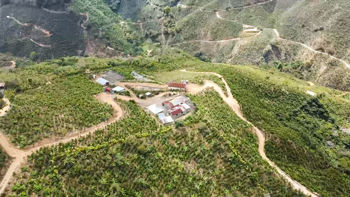 Se vende Finca de café HH, San Cristóbal, Zona de los Santos (FE).