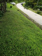 SE VENDE BELLA PROPIEDAD EN SABALITO, COTO BRUS.  en Sabalito, Coto Brus, Puntarenas — 40 000 000 ₡ - Foto 5 de 10