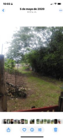SE VENDE CASA en Guácimo, Limón — ₡ 10 000 000