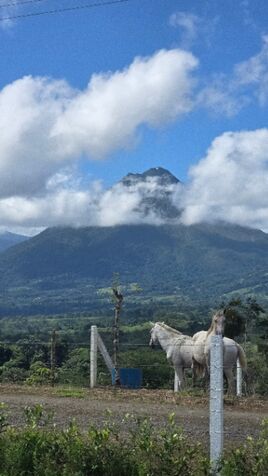 Proyecto con Vista al Volcán 360 y al Cerro chato ☎️ 8751-4191  en La Fortuna, San Carlos, Alajuela — ₡ 150 000 000