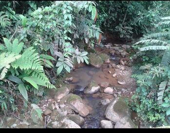 LOT FOR SALE, QUIZARRA, PEREZ ZELEDON en Cajón, Pérez Zeledón, San José — $60,000 - Foto 4 de 4