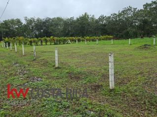 Lote en venta en Santa Clara, San Carlos | A 600 m del TEC en Florencia, San Carlos, Alajuela — 38 000 000 ₡ - Foto 4 de 6