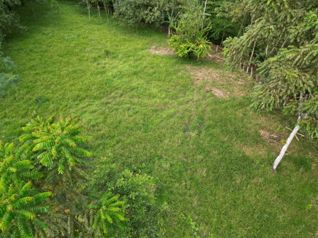 Propiedad de 5,000 m2 en Platanar de SanCarlos en La Fortuna, San Carlos, Alajuela — $100,000 - Foto 3 de 4