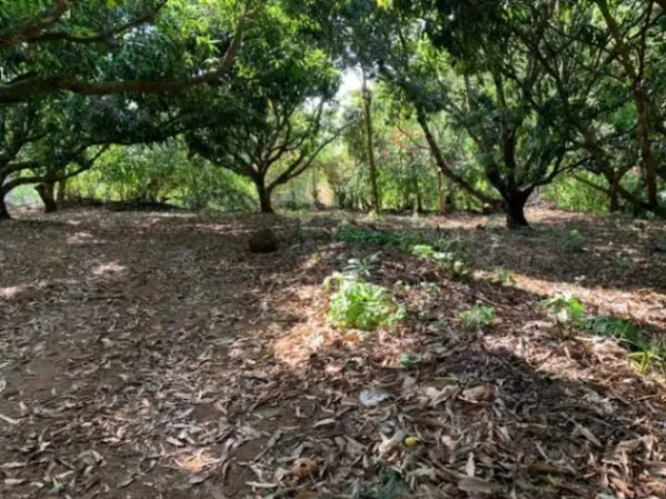 LA PROPIEDAD DE SUS SUEÑOS EN ATENAS.  en Atenas, Alajuela — ₡ 150 000 000