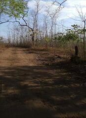 Farm For Sale Liberia, Liberia, Guanacaste