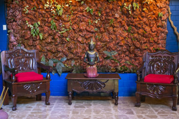 Retiro de Bienestar | Santuario de Yoga | Oportunidad de Hotel in Atenas, Alajuela — $1,295,000 - Photo 5 of 39