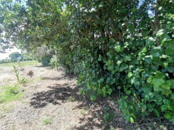 Venta de Lote en Santo Domingo, Heredia. RAH 26-417 in Santo Tomás, Santo Domingo, Heredia — $1,000,000 - Photo 5 of 16