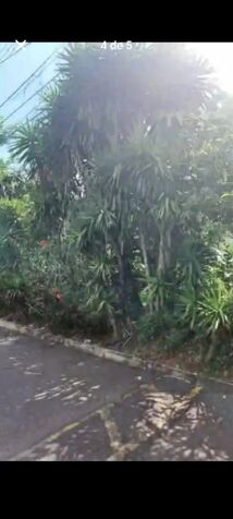 VENDO TERRENO INDUSTRIAL EN DESAMPARADOS, SAN JOSÉ.  en San Rafael Arriba, Desamparados, San José — ₡ 55 000 000