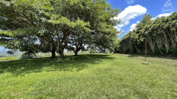 Lots for Sale in San Isidro de Grecia, Alajuela in Mercedes, Atenas, Alajuela — 31 500 000 ₡ - Photo 5 of 16