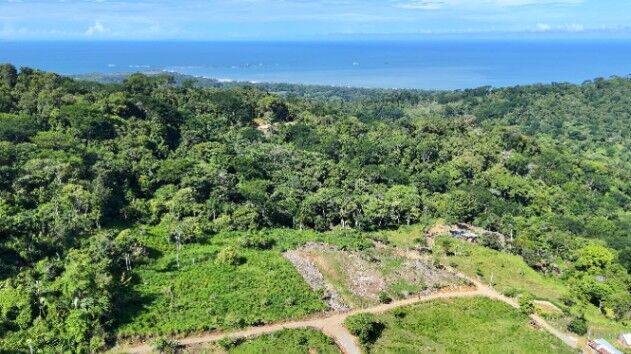 SE VENDE TERRENO EXCLUSIVO PARA PROYECTO BOUTIQUE O RETIRO PRIVADO JUNTO A KURA in Bahía Ballena, Osa, Puntarenas — $510,000