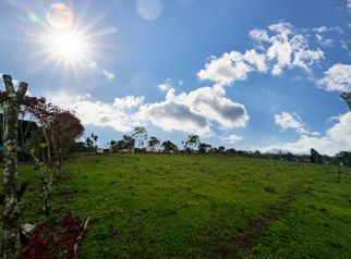 VENTA DE AMPLIO LOTE DE  7.000 m² - BIRRISITO, CARTAGO - Foto 3 de 3