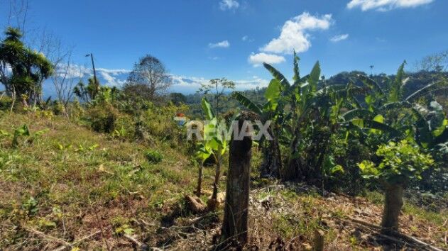 LOTE CON VISTA A LA CORDILLERA DE TALAMANCA EN PÉREZ ZELEDÓN in Platanares, Pérez Zeledón, San José — $14,000