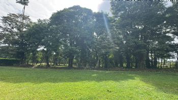 Venta de Quintas en Sarapiquí in Las Horquetas, Sarapiquí, Heredia — 140 000 000 ₡ - Photo 2 of 10