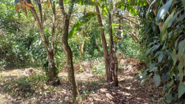 Hermosa propiedad en emprendimiento, lista para desarrollo.  en Tambor, Alajuela — $380,000