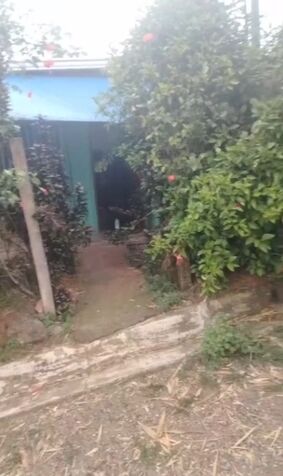 SE VENDE PROPIEDAD CON CASA EN LOMAS DE PARRITA.  in Parrita, Puntarenas — ₡ 14 000 000