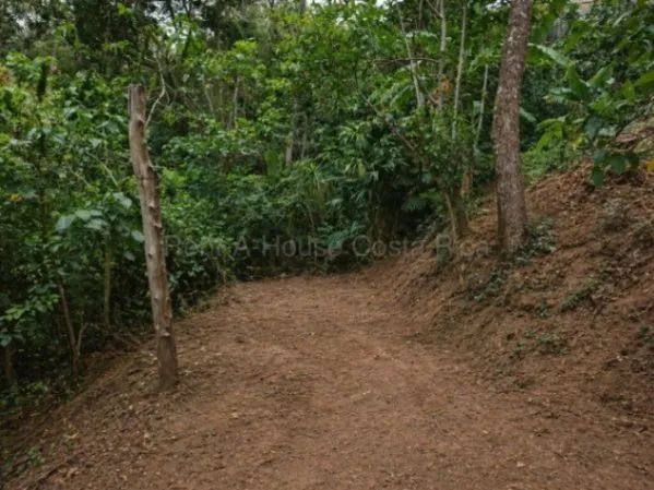 Venta de Lote en Carrizal de Escazú. OPORTUNIDAD DE INVERSIÓN en Escazú, San José — $360,000 - Foto 3 de 14