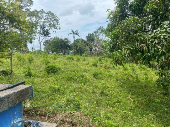 Se vende Lote 4441 m2 - San Isidro - Peñas Blancas -Financiamiento disponible in Peñas Blancas, San Ramón, Alajuela — ₡ 40 000 000