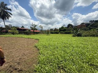 Venta de terreno en San Ramón de Alajuela